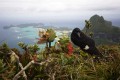 Lord Howe Island_20061211_036